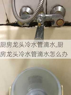 厨房龙头冷水管滴水,厨房龙头冷水管滴水怎么办