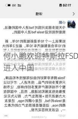 何小鹏欢迎特斯拉FSD进入中国