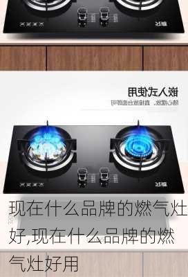 现在什么品牌的燃气灶好,现在什么品牌的燃气灶好用