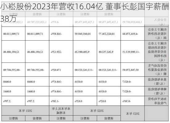 小崧股份2023年营收16.04亿 董事长彭国宇薪酬38万