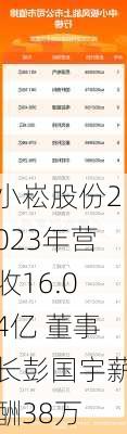 小崧股份2023年营收16.04亿 董事长彭国宇薪酬38万