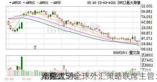 摩根大通全球外汇策略联席主管：
元兑
“脱锚”
不超过5%