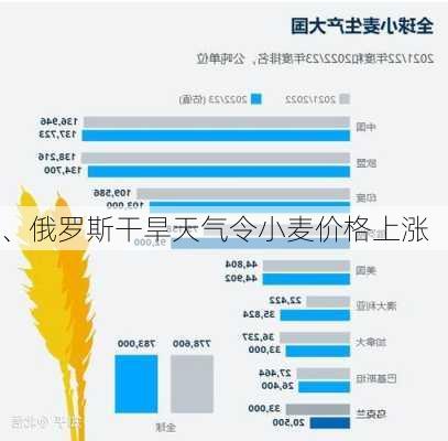 
、俄罗斯干旱天气令小麦价格上涨