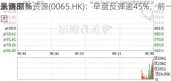 弘海高新资源(0065.HK)：早盘反弹逾45%，前一
暴跌81%，
未明原因