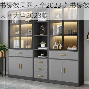 书橱效果图大全2023款,书橱效果图大全2023款