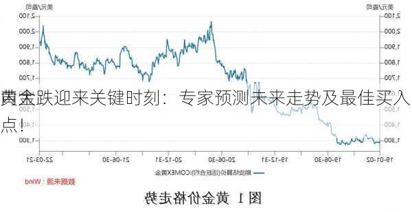 黄金
内大跌迎来关键时刻：专家预测未来走势及最佳买入点！