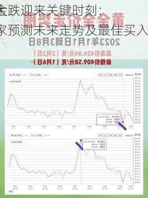 黄金
内大跌迎来关键时刻：专家预测未来走势及最佳买入点！