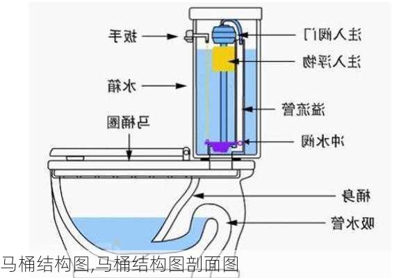 马桶结构图,马桶结构图剖面图