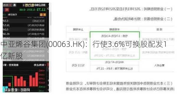 中亚烯谷集团(00063.HK)：行使3.6%可换股配发1亿新股