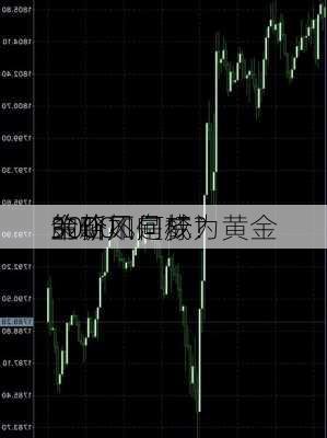 3000
金价不是梦！
策略如何成为黄金
的新风向标？