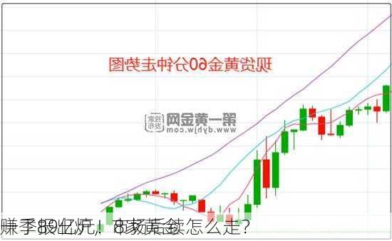 赚了89亿元！8家黄金
一季报出炉，市场后续怎么走？