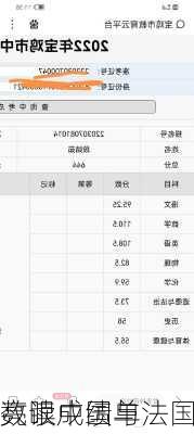 数读中国与法国
亮眼成绩单