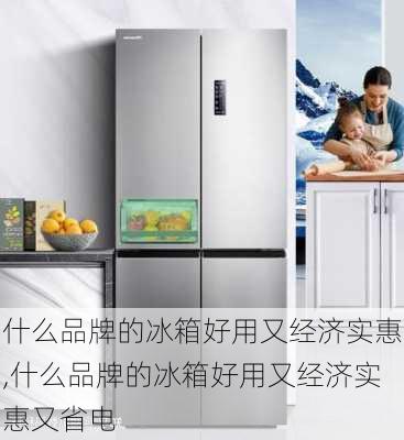 什么品牌的冰箱好用又经济实惠,什么品牌的冰箱好用又经济实惠又省电