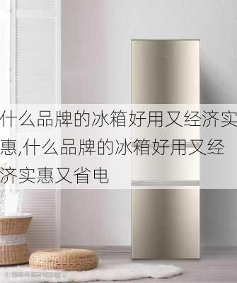 什么品牌的冰箱好用又经济实惠,什么品牌的冰箱好用又经济实惠又省电