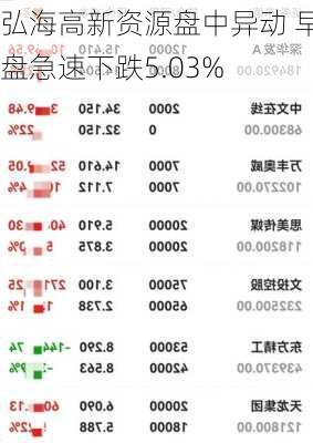 弘海高新资源盘中异动 早盘急速下跌5.03%