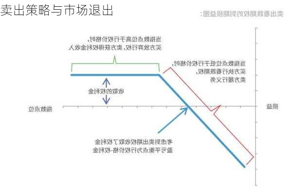 
卖出策略与市场退出