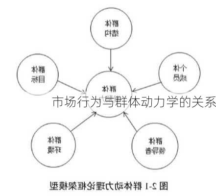 
市场行为与群体动力学的关系