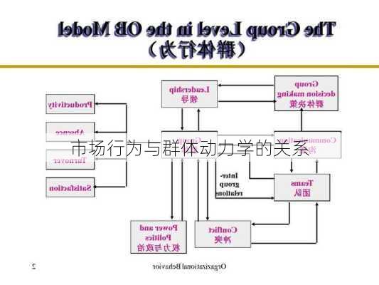 
市场行为与群体动力学的关系