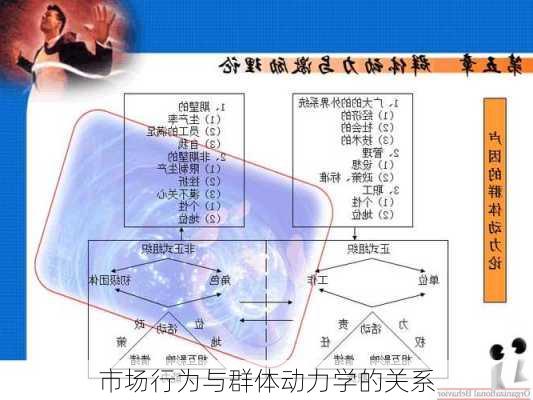 
市场行为与群体动力学的关系