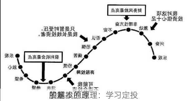 了解
股定投的原理：学习定投
的基本原理