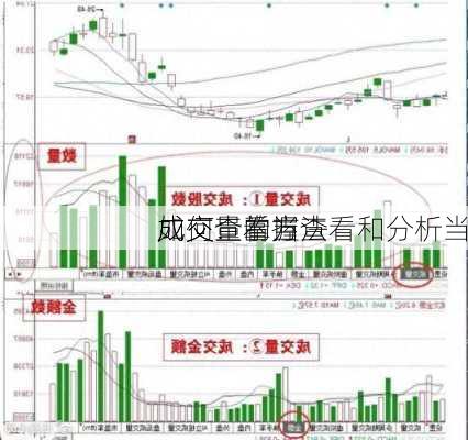 如何查看当
成交：掌握查看和分析当
成交量的方法