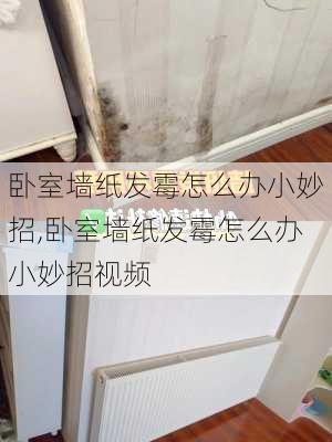 卧室墙纸发霉怎么办小妙招,卧室墙纸发霉怎么办小妙招视频