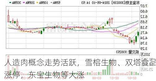 人造肉概念走势活跃，雪榕生物、双塔食品涨停，东宝生物等大涨