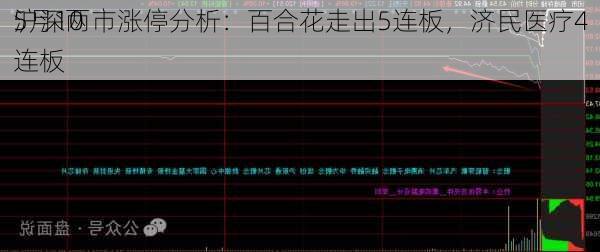 5月10
沪深两市涨停分析：百合花走出5连板，济民医疗4连板