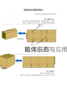 如何识别与应用
箱体形态