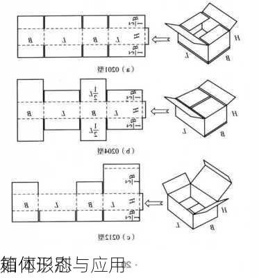 如何识别与应用
箱体形态