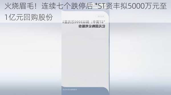 火烧眉毛！连续七个跌停后 *ST贤丰拟5000万元至1亿元回购股份