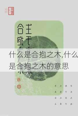 什么是合抱之木,什么是合抱之木的意思