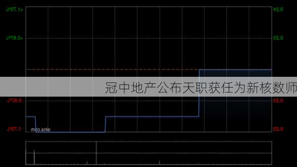 冠中地产公布天职获任为新核数师