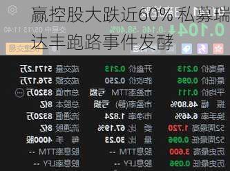 
赢控股大跌近60% 私募瑞达丰跑路事件发酵