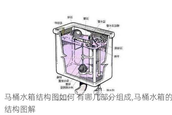 马桶水箱结构图如何 有哪几部分组成,马桶水箱的结构图解