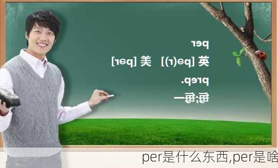 per是什么东西,per是啥