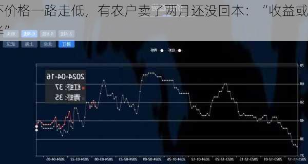 小龙虾价格一路走低，有农户卖了两月还没回本：“收益或
去年减半”