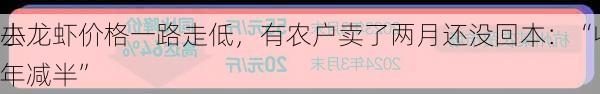 小龙虾价格一路走低，有农户卖了两月还没回本：“收益或
去年减半”