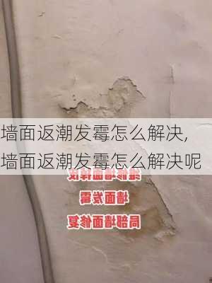 墙面返潮发霉怎么解决,墙面返潮发霉怎么解决呢