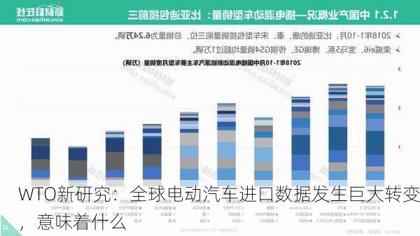 WTO新研究：全球电动汽车进口数据发生巨大转变，意味着什么