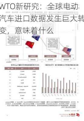 WTO新研究：全球电动汽车进口数据发生巨大转变，意味着什么