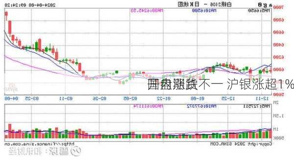 国内期货
开盘涨跌不一 沪银涨超1%