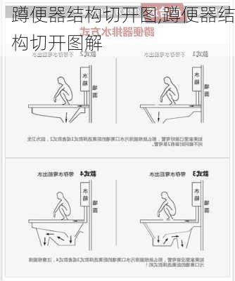 蹲便器结构切开图,蹲便器结构切开图解