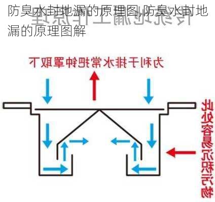 防臭水封地漏的原理图,防臭水封地漏的原理图解