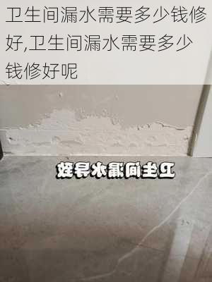 卫生间漏水需要多少钱修好,卫生间漏水需要多少钱修好呢