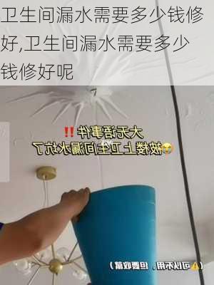 卫生间漏水需要多少钱修好,卫生间漏水需要多少钱修好呢