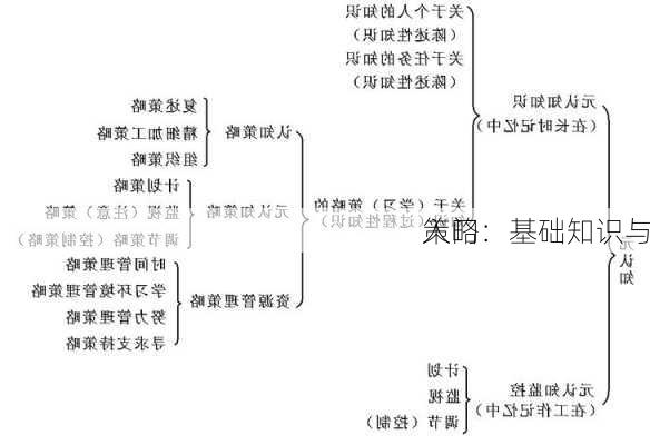 入门：基础知识与
策略