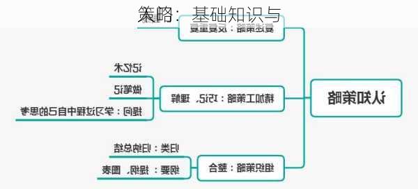 入门：基础知识与
策略