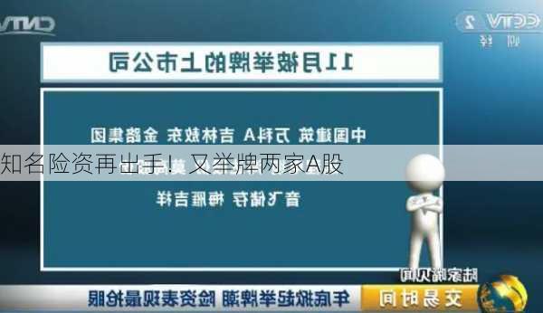 知名险资再出手！又举牌两家A股
