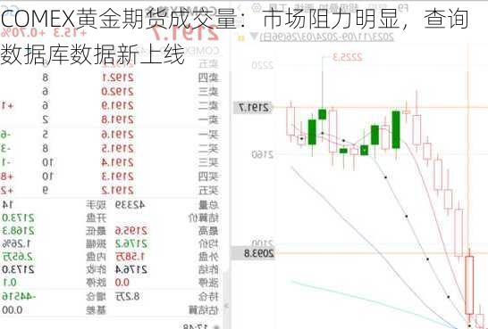 COMEX黄金期货成交量：市场阻力明显，查询数据库数据新上线